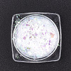 Holographic Chunky Glitter Nail Art Pigment Dust MRMJ-S015-009B-2