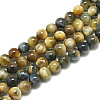 Natural Dream Tiger Eye Beads Strands G-S300-10mm-107A-1