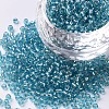 12/0 Glass Seed Beads SEED-A005-2mm-23-1
