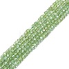 Natural Green Apatite Beads Strands G-P457-B01-12-1