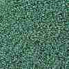 TOHO 11/0 Round Beads X-SEED-TR11-0699-2