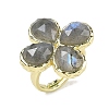 Natural Labradorite Faceted Adjustable Finger Rings for Women RJEW-A092-01G-12-4