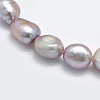 Natural Cultured Freshwater Pearl Beads Strands PEAR-K003-19B-3