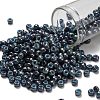 TOHO 6/0 Round Beads X-SEED-TR06-1208-1