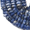 Natural Sodalite Beads Strands G-L654-I12-01-4