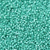 MIYUKI Delica Beads SEED-J020-DB0627-3