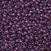 TOHO Round Seed Beads X-SEED-TR08-0625F-2