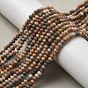 Natural Alashan Agate Beads Strands X-G-C127-B01-01-2
