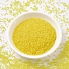 MIYUKI Delica Beads SEED-X0054-DB0743-2