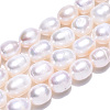 Natural Cultured Freshwater Pearl Beads Strands X-PEAR-L001-C-03-2