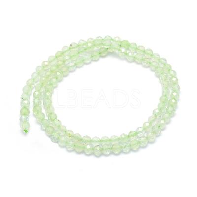 Natural Prehnite Beads Strands G-E411-25-2mm-1