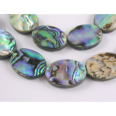 Natural Abalone Shell/Paua Shell Beads Strands SHS017-01-1