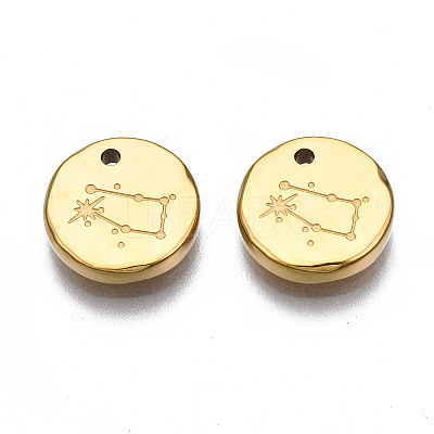 316 Surgical Stainless Steel Charms STAS-S116-418E-G-1