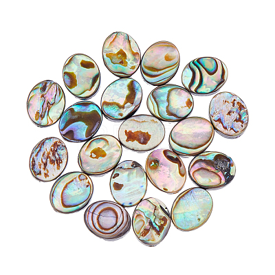 20Pcs Abalone Shell/Paua Shell Beads SSHEL-FI0001-03-1