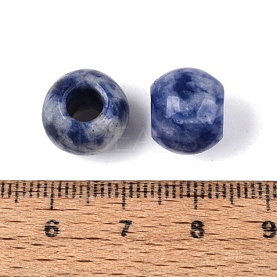 Natural Blue Spot Jasper European Beads G-Q602-09A-09-1