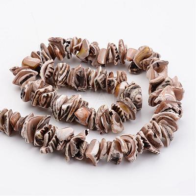 Natural Shell Bead Strands BSHE-P010-07-1