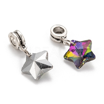 Tibetan Style Alloy Large Hole European Dangle Charms X-PALLOY-JF00040-1