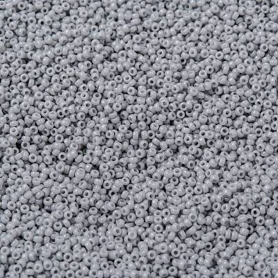 MIYUKI Round Rocailles Beads X-SEED-G009-RR0498-1