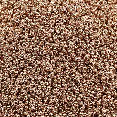 MIYUKI Round Rocailles Beads X-SEED-G007-RR4204-1