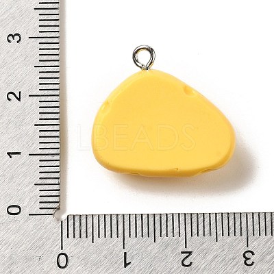 Resin Pendants LS-RESI-A038-02E-1