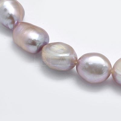 Natural Cultured Freshwater Pearl Beads Strands PEAR-K003-19B-1