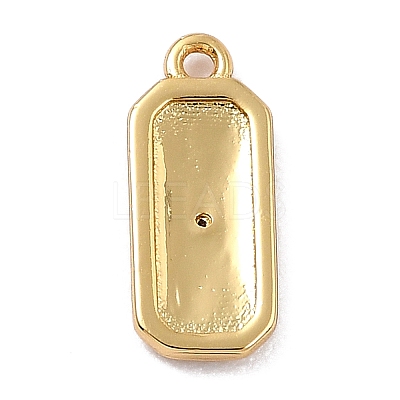 Brass Micro Pave Cubic Zirconia Charms ZIRC-I054-12G-06-1