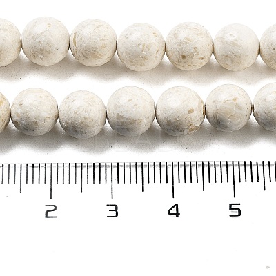 Natural Fossil Beads Strands G-H026-02A-1