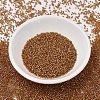 MIYUKI Delica Beads SEED-X0054-DB1734-2