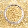 8/0 Glass Seed Beads X-SEED-A016-3mm-202-3