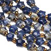 Natural Sodalite Beads Strands G-Z080-A28-8mm-4