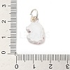 Christmas Themes Alloy Enamel Pendants FIND-I063-01C-3