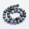 Natural Hawk's Eye Beads Strands G-L478-02-12mm-3