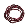 Natural Garnet Beads Strands G-I341-09A-3