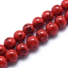 Sea Shell and Synthetic Turquoise Assembled Beads Strands G-G758-11-4mm-1