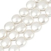 Electroplated Shell Pearl Beads Strands BSHE-G027-13D-2