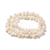 Natural Freshwater Beads Strands SHEL-K006-36-2