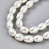 Baking Paint Pearlized Glass Pearl Bead Strands HY-T002-01A-02-2