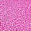 Baking Paint Pearlized Glass Seed Beads SEED-T008-03K-3
