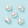 304 Stainless Steel Charms STAS-F180-03S-2