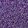 MIYUKI Delica Beads SEED-MY11-DB2168-3