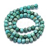 Natural HuBei Turquoise Beads Strands G-G106-G01-02-2