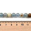 Natural Blue Calcite Beads Strands G-H312-C02-8mm-5