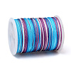 Segment Dyed Polyester Thread NWIR-I013-D-13-2