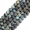 Frosted Natural African Turquoise(Jasper) Round Beads Strands G-D746-10mm-1