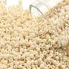 TOHO 11/0 Round Beads SEED-XTR11-0123-1