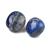 Natural Lapis Lazuli Beads G-G348-01B-06-2