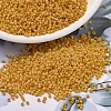 MIYUKI Delica Beads SEED-X0054-DB2285-1