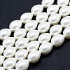Electroplate Shell Pearl Beads Strands BSHE-G006-07D-1