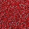 Baking Paint Silver Lined Glass Seed Beads SEED-H003-09C-2
