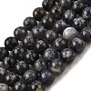 Natural Iolite Beads Strands G-E561-16-10mm-2